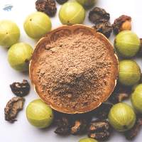 100% Premium Export Grade Amla Powder