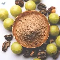 100% Premium Export Grade Amla Powder