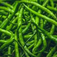 Premium Export Grade Fresh Green Chilli 