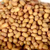 Premium Quality Export Grade Moth Beans
