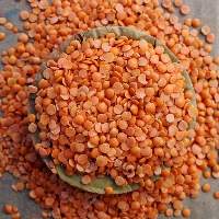 Premium Grade Masoor Dal / Red Lentils