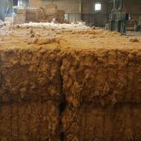 Linen Fibers