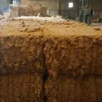 Linen Fibers