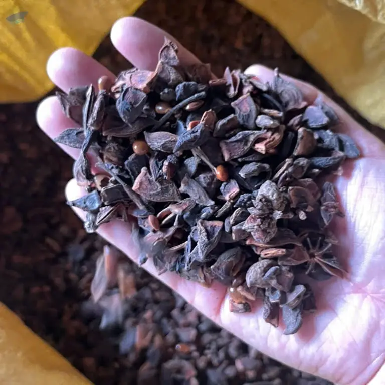Broken Star Anise