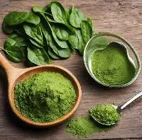 Spinach Leaf Powder