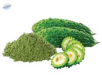 Karela Powder (Bitter Gourd Powder)
