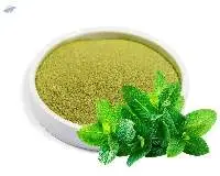 Mint Leaves Powder