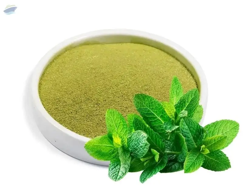 Mint Leaves Powder