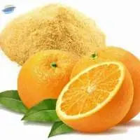 Premium Quality Dried Orange Powder