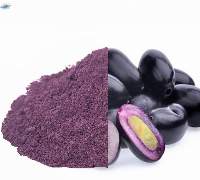 Premium Dehydrated Jamun Powder