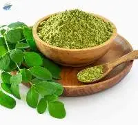 Premium Quality Drumstick Powder