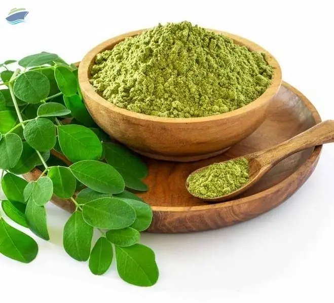 Premium Quality Drumstick Powder