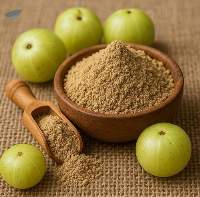 Premium Quality Amla Powder