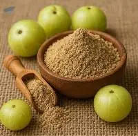 Premium Quality Amla Powder