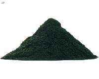 Dry Spirulina Powder
