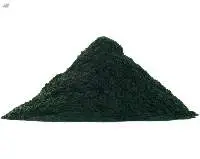 Dry Spirulina Powder