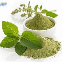 Premium Quality Natural Tulsi Powder