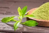 Stevia Leaf Powder Export Quality