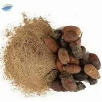 Premium Dehydrated Jamun Seeds Powder