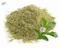 Herbal Bhringraj Powder