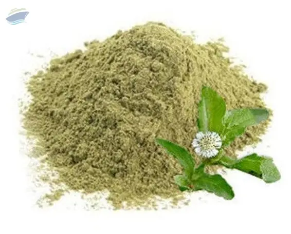 Herbal Bhringraj Powder