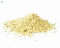 Premium Grade Shatavari Root Powder