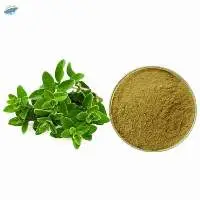 Premium Dried Oregano Powder