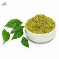 Premium Export Grade Curry Leaf Powder