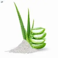 Aloe Vera Powder