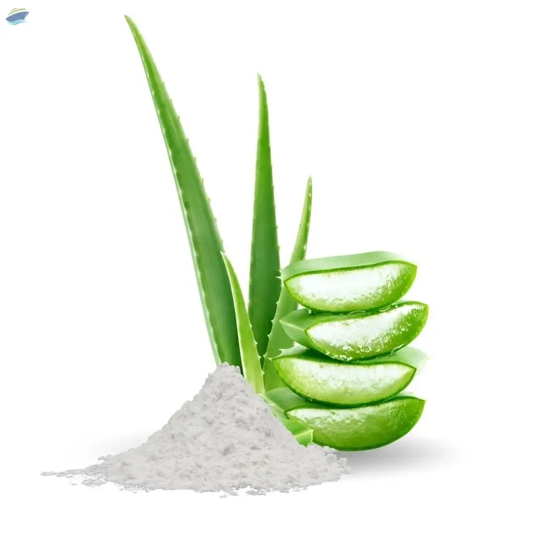Aloe Vera Powder
