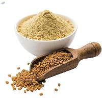 Premium Grade Dried Fenugreek Powder