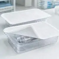 Medical Blister Trays & Lidding