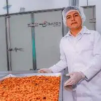 Dried Goldenberry Conventional and Organic