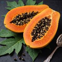 Dried Papaya Leaves (Botanical Extract Material)