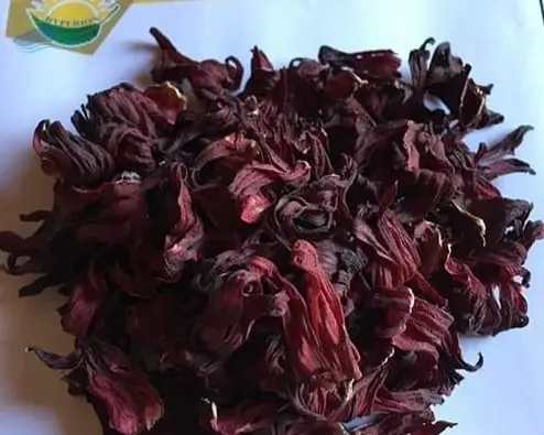 Hibiscus