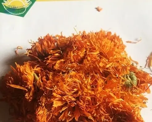 Calendula