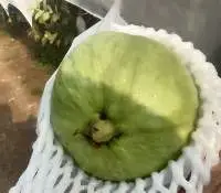 White And Pink Guava
