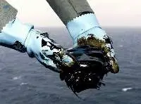 Basra Heavy Crude - Basra Light Crude Oil