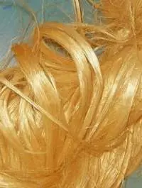 Golden Jute