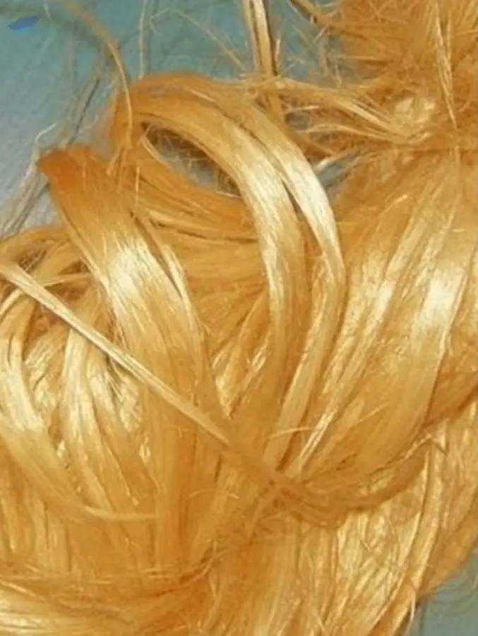 Golden Jute