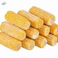 Frozen Sweet Yellow Corn Vietnam Wholesale