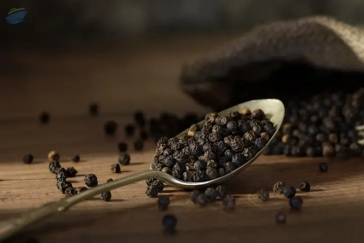 Premium Black Pepper Whole Spice Export Quality