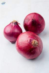 Premium Fresh Red Onion Export Quality