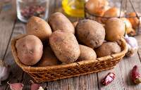 Premium Fresh Potato Export Quality