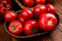Premium Fresh Tomato Export Quality
