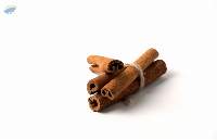 Premium Cinnamon Sticks Export Quality Spice