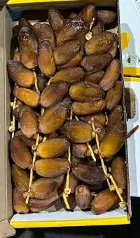 Premium Deglet Nour Dates - Origin Tolga