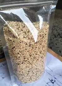 Sesame Seeds