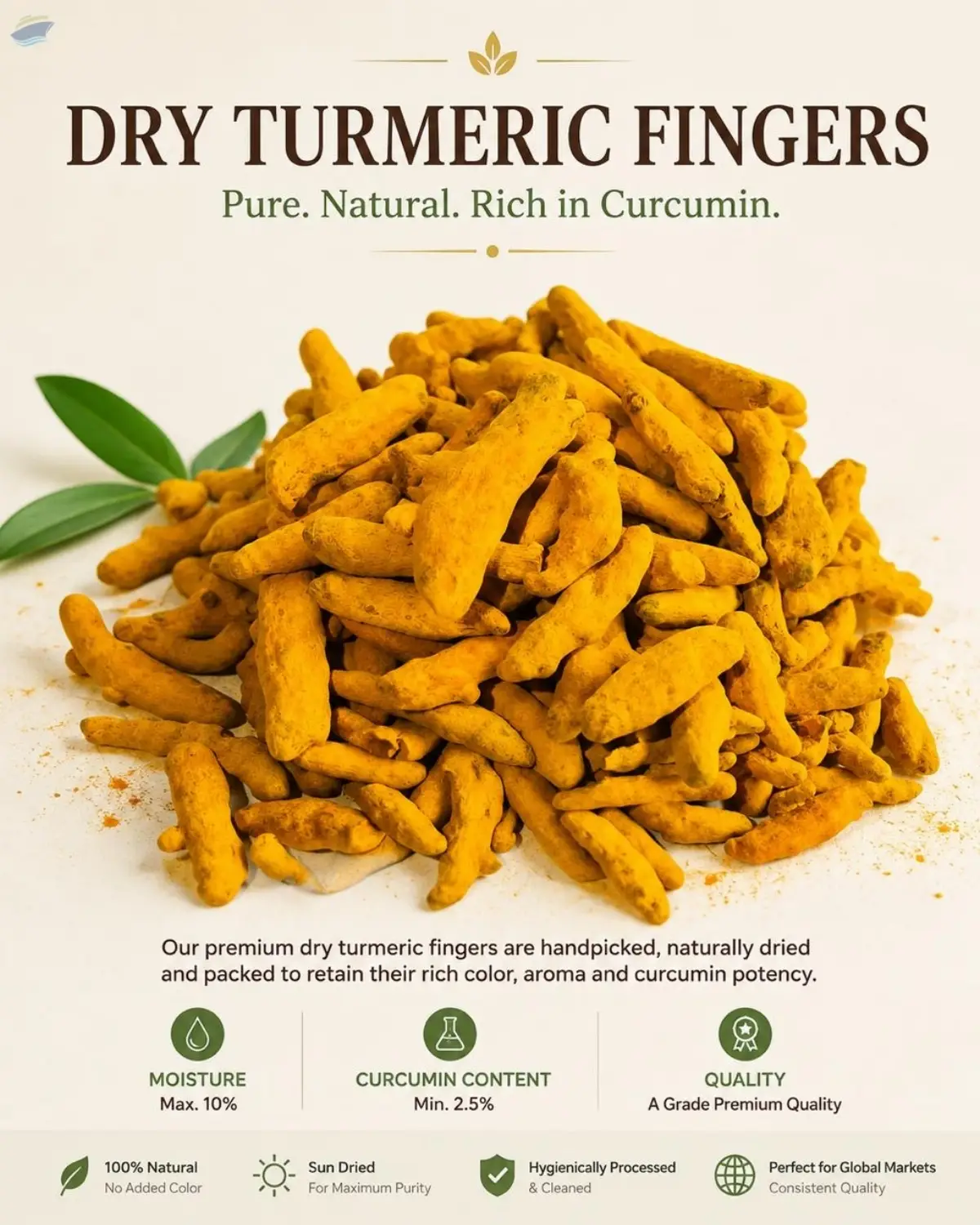 Dry Turmeric Fingers