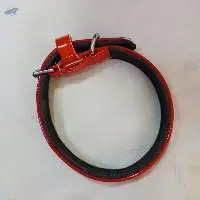 Dog COL -1